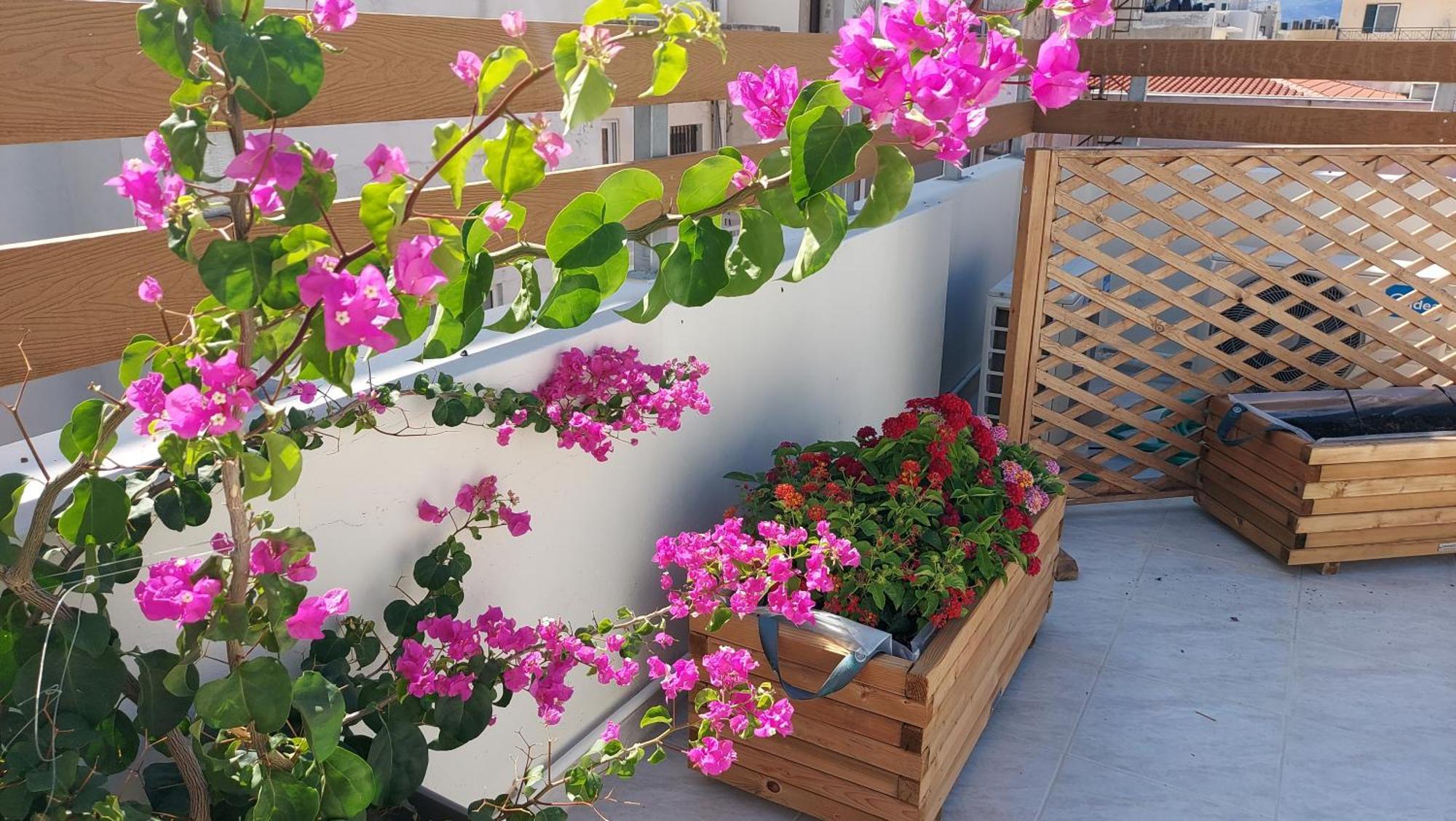 The Blue Apartment In The Heart Of Heraklion Dış mekan fotoğraf